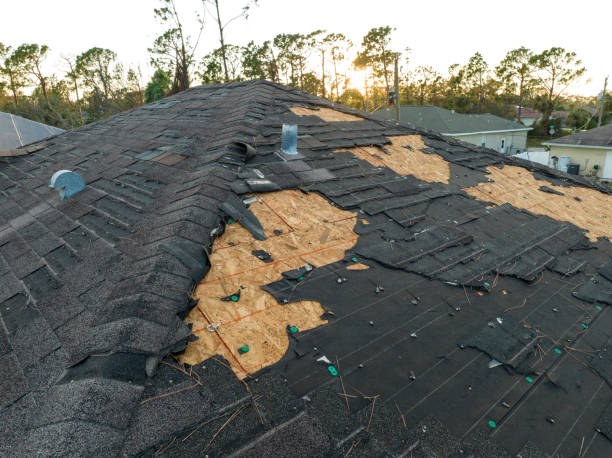 Best Roof Maintenance and Cleaning  in Parma Heights, OH